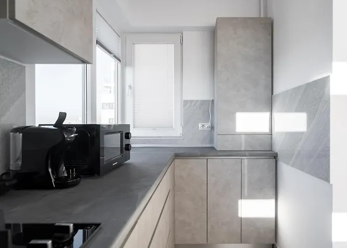 Apartament Spacious 917